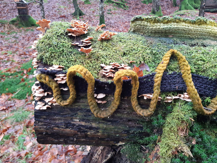 Rydal Sculpture Park, Photo by Jeanine Worsfold